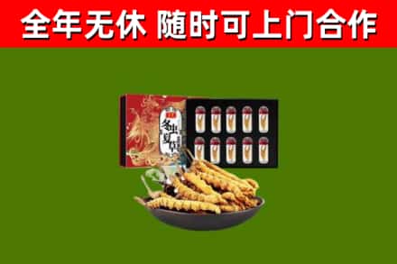 嘉荫县烟酒回收冬虫夏草礼盒.jpg
